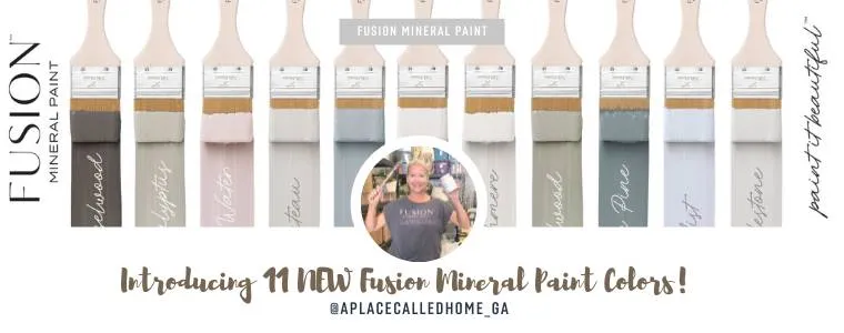 Fusion Mineral Paint - Paisley